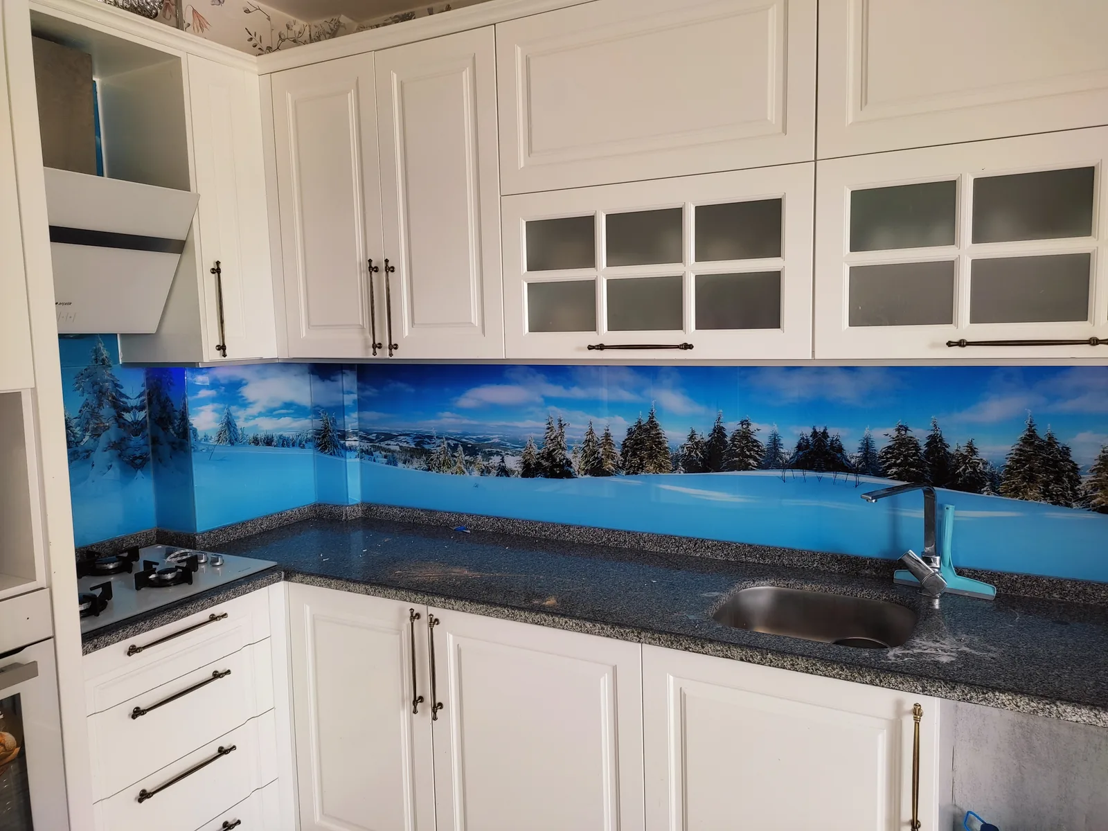 Göl ve Çam Manzaralı Cam Panel, Vitrinli Mutfak: fotoğraf 2