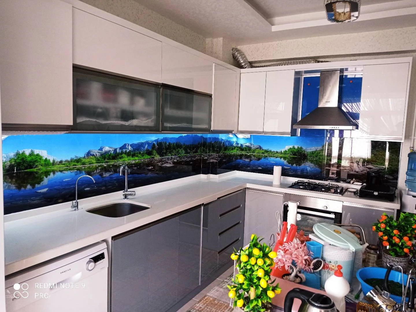 Göl Manzaralı Cam Panel, Beyaz Mutfak: fotoğraf 3